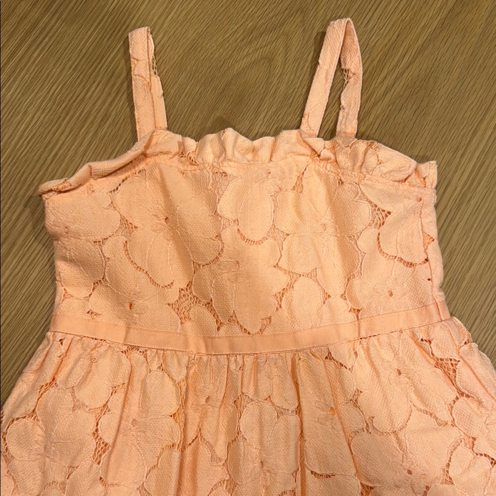 Janie and Jack Peach Lace Kids Dress - Picture 5 of 5